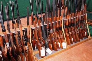 Investing in Guns