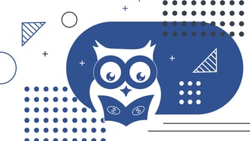 wiseradvisor review