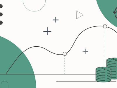 Dividend Reinvestment