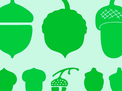 Acorns Investing Review