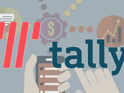 Meet Tally Review