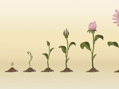 dividend growth investing