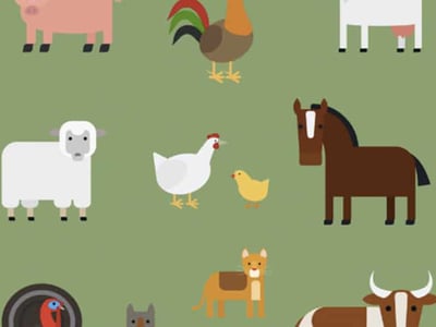 A vibrant, stylized illustration of various farm animals against a solid green background, serving as a visual metaphor for farmland investing. Prominently featured are a white sheep, a white hen with a small yellow chick, and a brown horse, all rendered in a clean, graphic style with minimal detail. Partially visible animals include a pink pig at the top left and a rooster at the top center, further emphasizing the agricultural theme. The bottom left corner displays "THE COLLEGE INVESTOR" logo in white, integrating the branding with the image. This visual helps to introduce the concept of investing in farmland, an alternative asset class discussed in the article, and relates to the idea of "miles and miles of farms" and agricultural states, making the abstract financial topic more accessible.