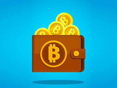 YouHodlr Review