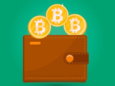 This image depicts a brown, bi-fold cryptocurrency wallet with a snap closure, illustrating the concept of storing digital assets securely. Three gleaming golden Bitcoin symbols, each with a prominent "B" in the center, are shown rising above the wallet, emphasizing the valuable nature of cryptocurrency. The vibrant green background suggests security and growth, while the "THE COLLEGE INVESTOR" logo in the bottom left corner clearly attributes the image to its source. The visual metaphor of a physical wallet holding digital currency effectively conveys the article's focus on the best cryptocurrency wallets and the importance of keeping private keys safe from hackers and thieves.