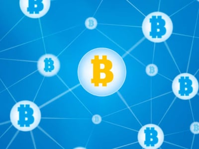 Paybis review