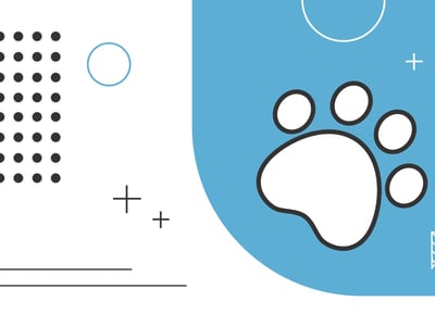 rover review
