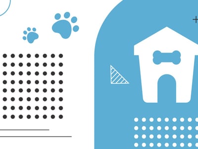wag review