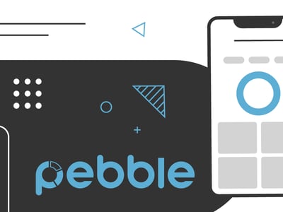 pebble finance review
