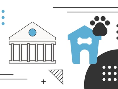 Do colleges allow pets
