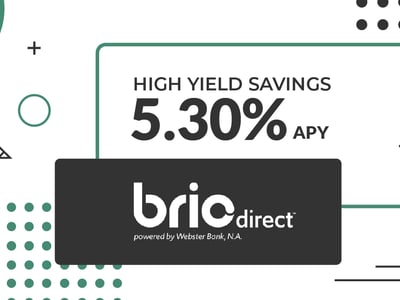 brio direct review featured image