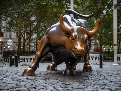 Famous Bull of Wall St | Source: The College Investor
