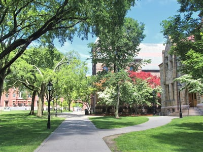 Sunny view of a tree-lined campus path winding past historic stone university buildings. This scene visualizes the setting for the ongoing debate about administrative bloat at U.S. colleges, providing context for the analysis of staffing ratios and operational costs at institutions like Ivy League schools. Source: The College Investor