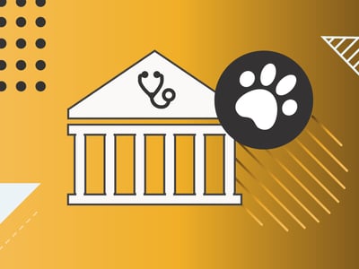 Vector illustration representing veterinary school financial aid and student loans. The graphic features a white university building icon with a stethoscope on the pediment, accompanied by a black circle containing a white paw print. The design is set against a golden-yellow and white background with geometric patterns, symbolizing the specialized educational path and financing options for aspiring veterinarians. Source: The College Investor