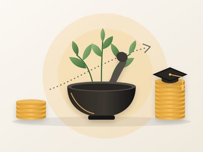 Illustration of a mortar and pestle with green herbs between a short and a tall stack of gold coins, with a graduation cap on the taller stack