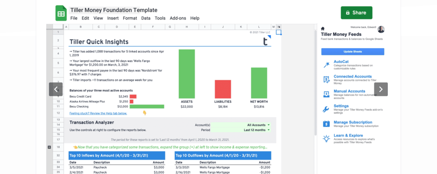 Tiller Review: Template Example | Source: Tiller