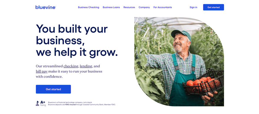 bluevine homepage