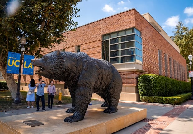 Man photographing bronze statue of Bruin with smartphone at campus of UCLA with college building in the background.