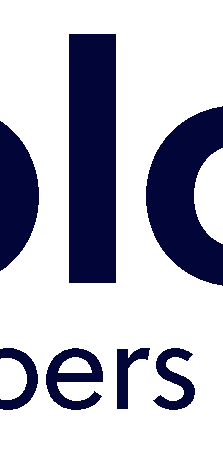 Solo 401k by Nabers Group