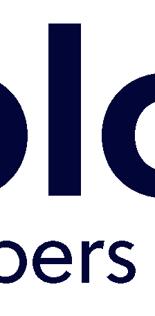 Solo 401k by Nabers Group Comparison