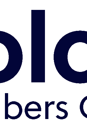 comparing solo 401k providers: nabers group