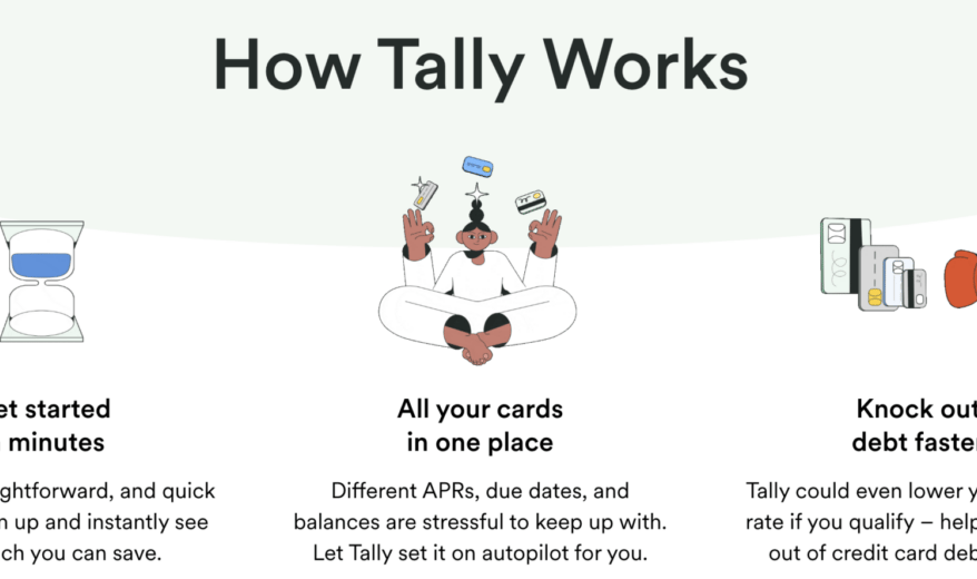 Tally Review: How Tally Works
