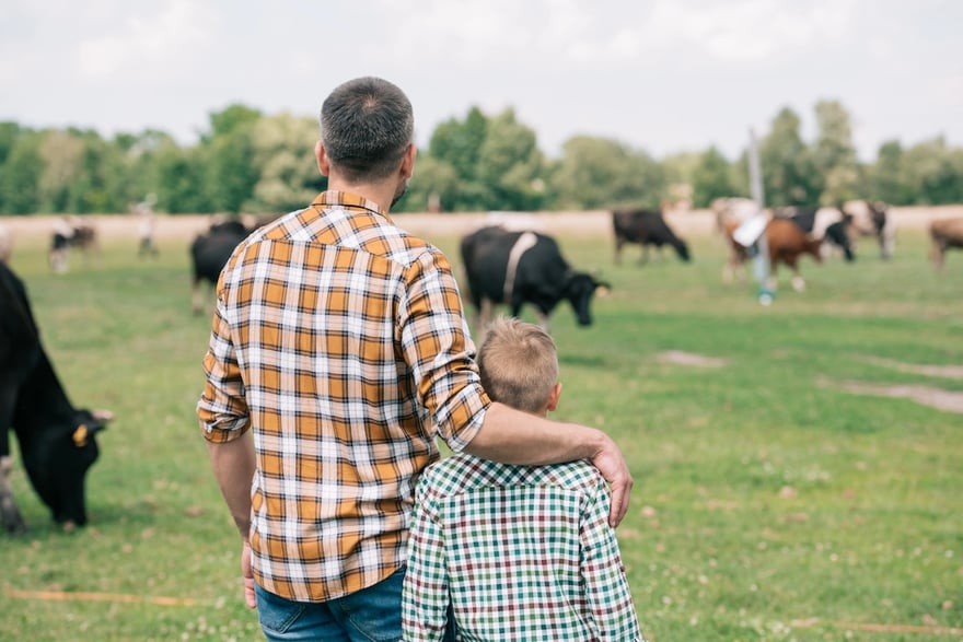 Family Farm FAFSA Family Farm FAFSA | Source: The College Investor