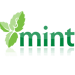 Mint Online Money Management