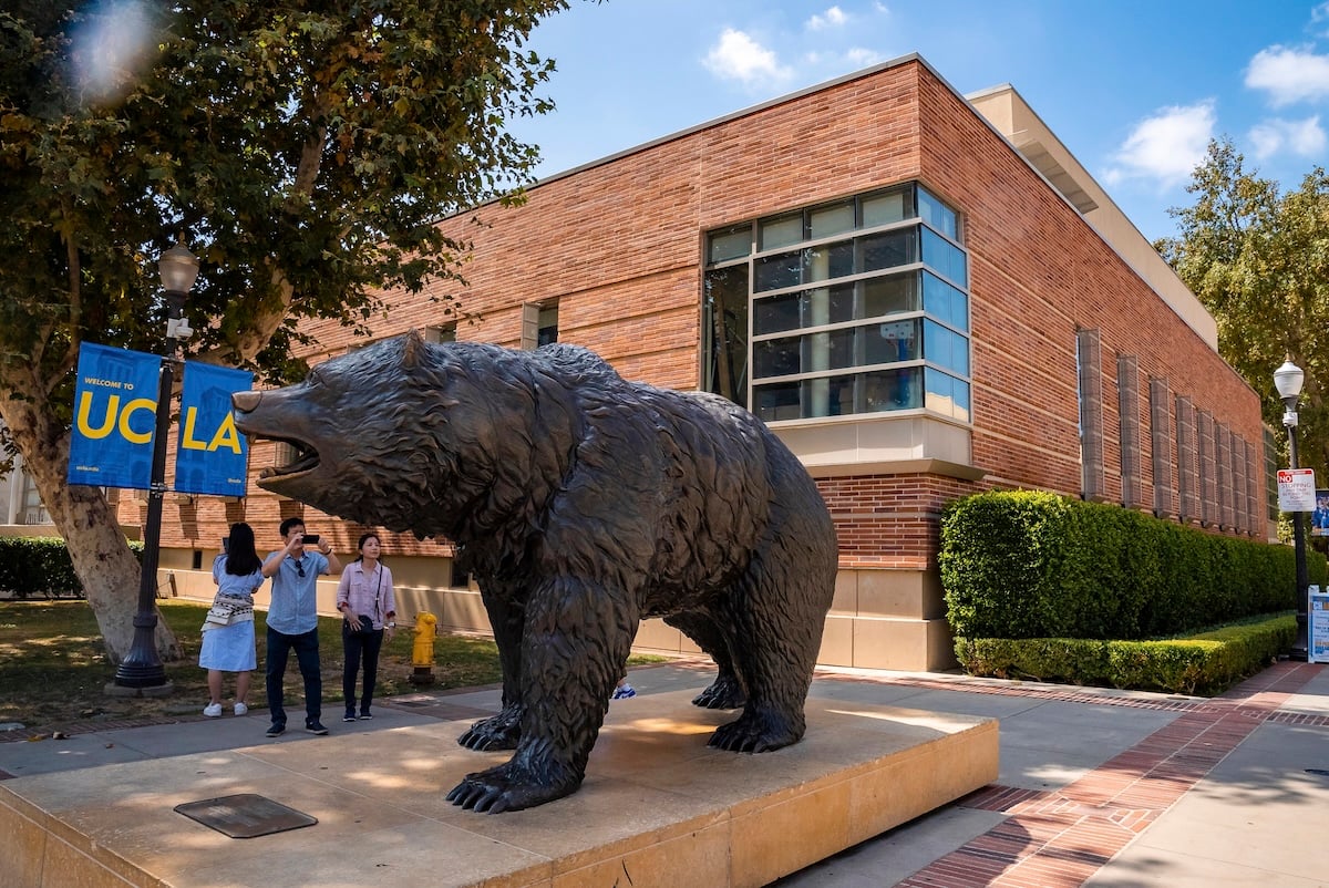 Man photographing bronze statue of Bruin with smartphone at campus of UCLA with college building in the background.