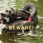 Beware Of Black Swan Events