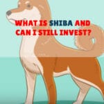 what is shiba inu