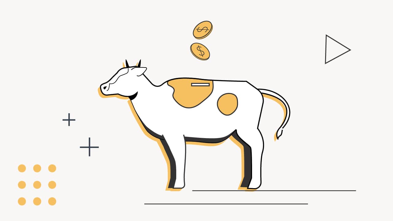 Agridime Review: Invest Directly in Cattle