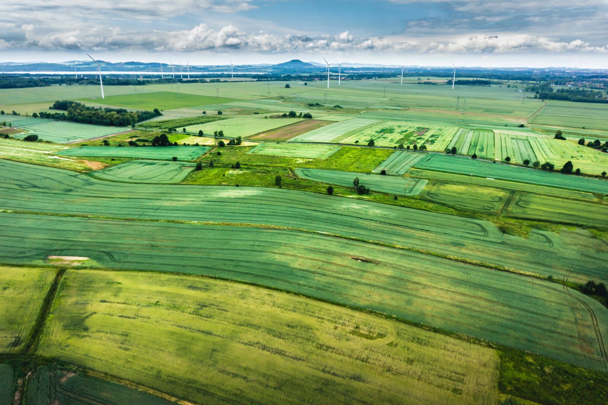 ways to invest in real estate: farmland