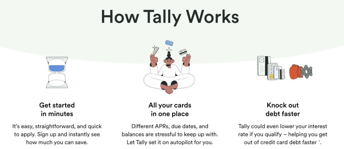 Tally Review: How Tally Works