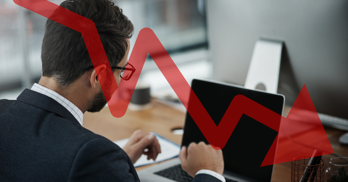  The College Investor